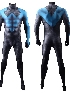 Nightwing Blue Nightwing Cosplay Costumes Halloween costume Bodysuit
