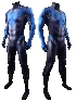 Dc Comics Hero Nightwing Blue Nightwing Cosplay Costumes Tights Costumes Halloween Cosplay Costumes