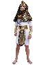 New Style Little Boy Pharaoh Costume Cosplay Costume Show Costumes Halloween Cosplay Costumes
