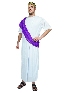 Adult Male Man Roman Senate Party Costume Halloween Greek Parliament Elders Cosplay Costumes