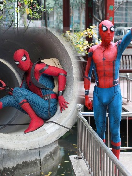 3D Printed Hero Returns Spider Halloween Spiderman Costume Cosplay Zentai Suit