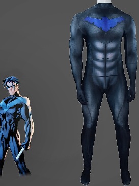 Dc Nightwing Nightwing Cosplay Costume Cosplay Halloween Cosplay Costume Costume