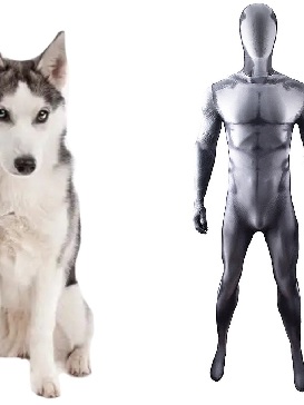 Husky Suit Costume Cosplay Stage Costumes Show Costumes